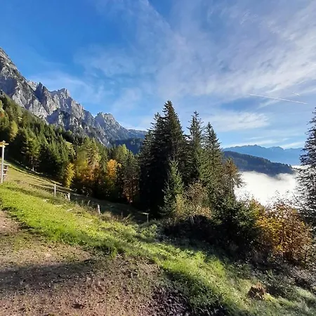 Seiwald Leogang