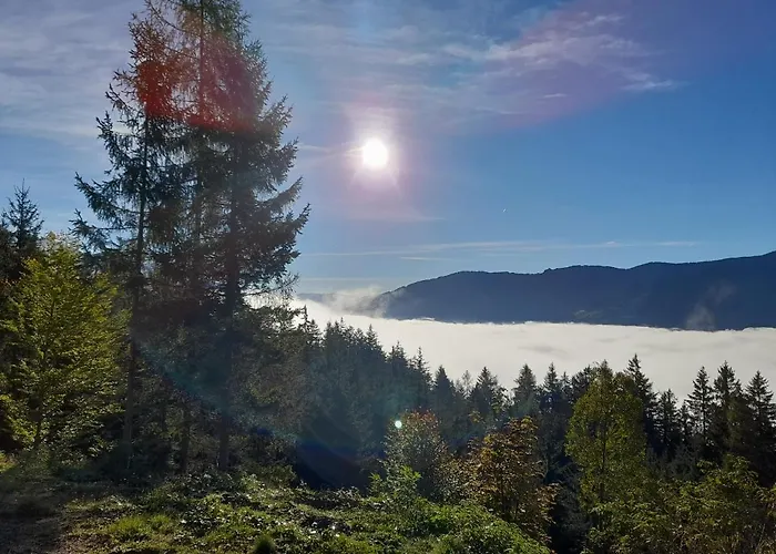 Appartement Seiwald *