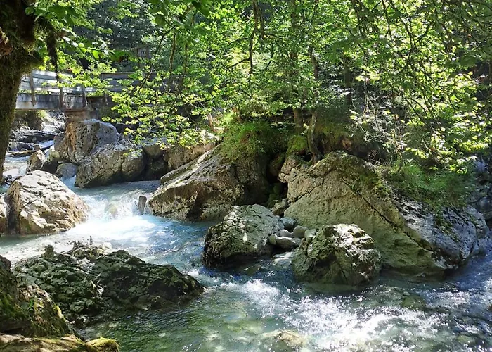 Appartement Seiwald *